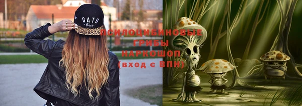 соль курить ск Богданович