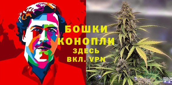 mdpv Богородск