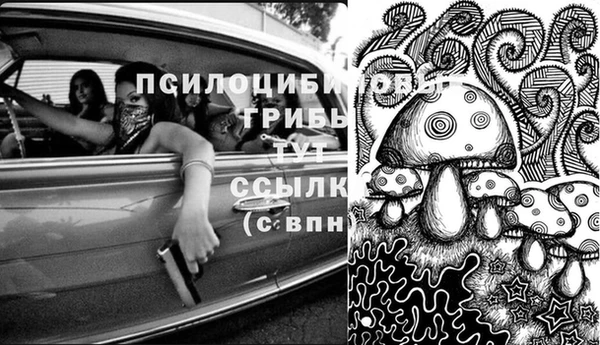 соль курить ск Богданович