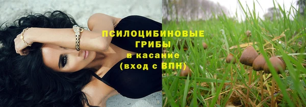 mdpv Богородск