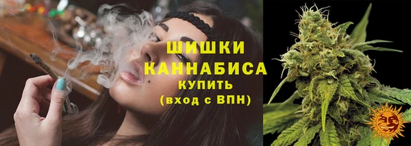 гидропоника Бугульма