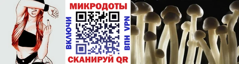 где продают наркотики  Рыбинск  Псилоцибиновые грибы Magic Shrooms 