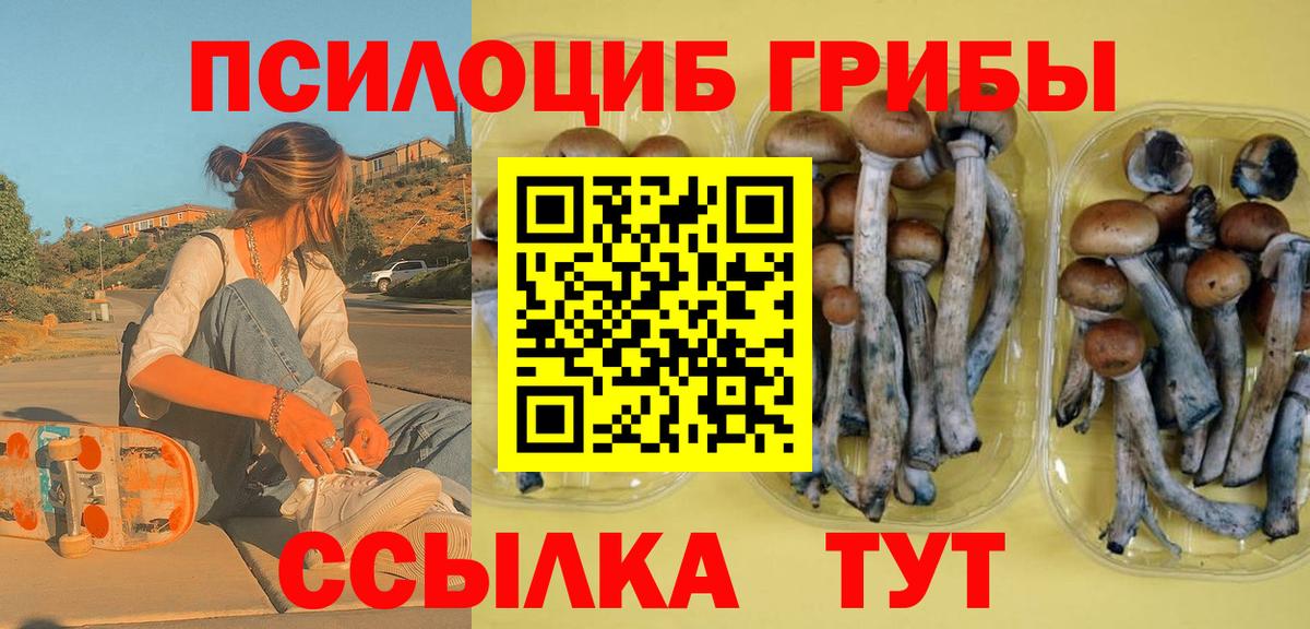 Галлюциногенные грибы мухоморы  купить наркотик  Рыбинск  Псилоцибиновые грибы ЛСД  Вход с VPN 